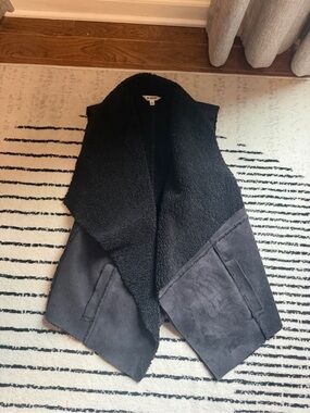 BB Dakota Black Faux Suede/Fur Vest
